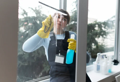 Nettoyage de vitres intérieures et extérieures à Saint-Cyr-la-Rosière